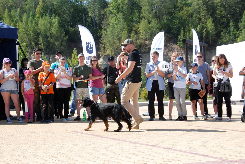 Кубок охотник и рыболов kubok.jpg